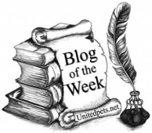 blog of the week award